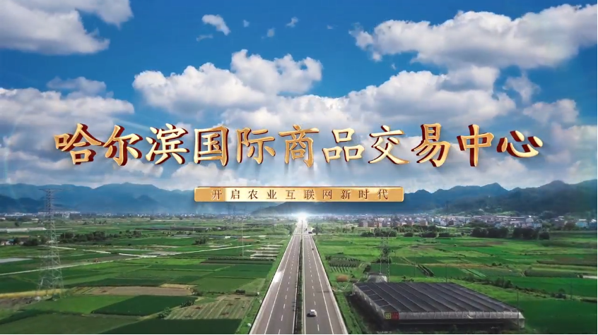 【黑龙江】哈商所｜哈尔滨国际商品交易有限公司