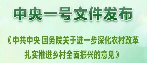 2025年中央第一号文件《乡村全面振兴规划（2024－2027年）》