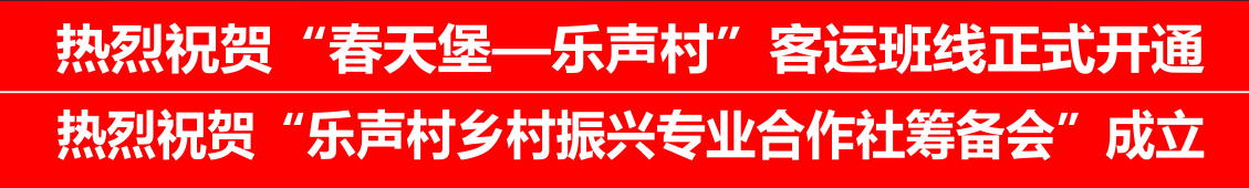 乐声村“春天堡-乐声村”班车通车发车仪式现场捐赠烟花或鞭炮及转账名单（排名不分先后，陆续完善中...）